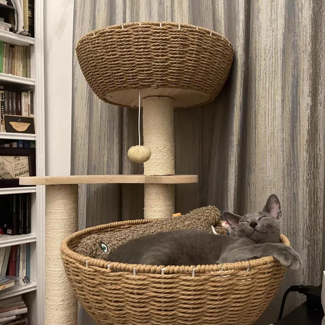 54" Large Modern Cat Trees, Luxury Rattan Oak Solid Wood Cat Trees Towers3 Weaving Cat Nests & Washable Cool Cushions, Sisal Scratching Posts,Cat Condo for Indoor Cats- Wood Wax Oil Version