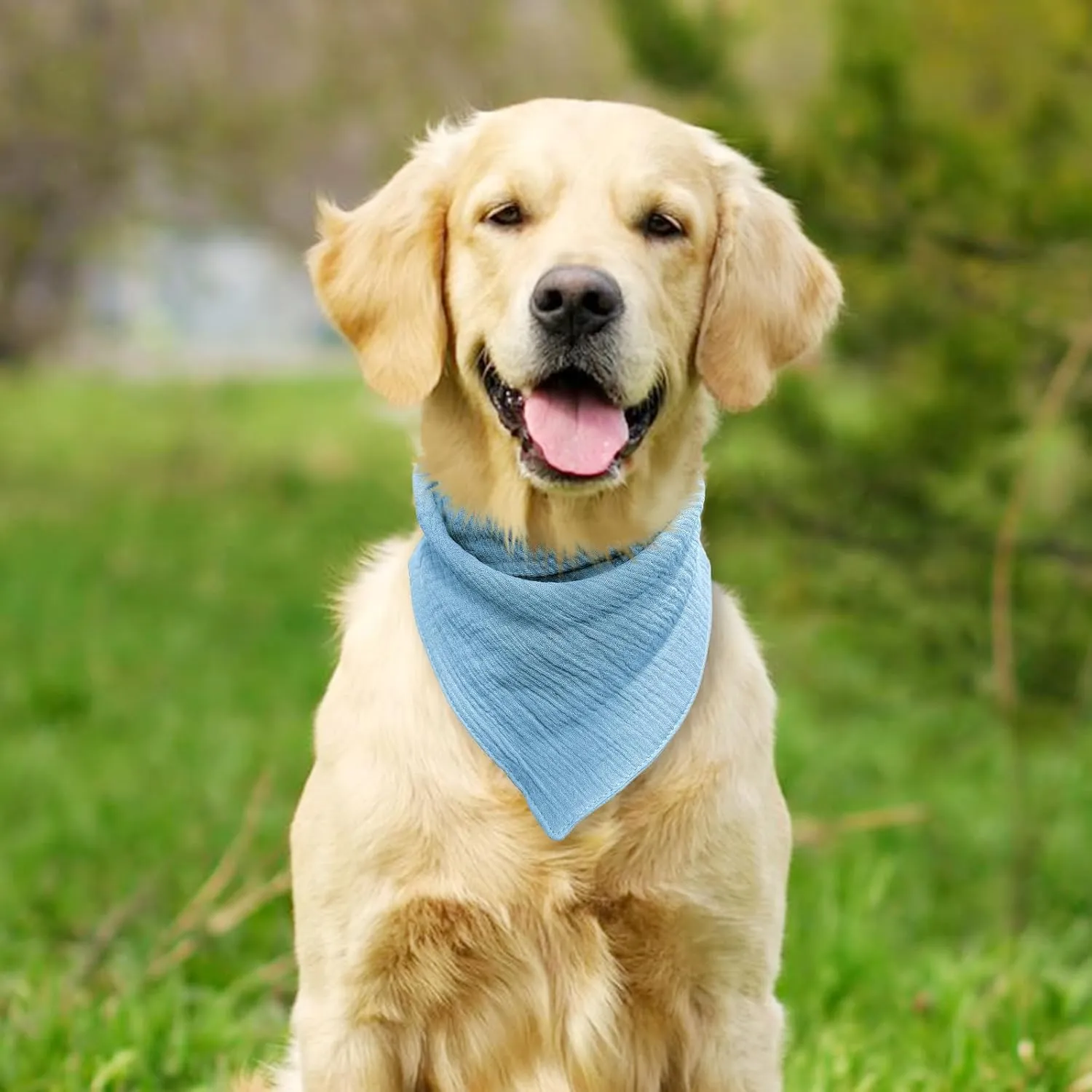 Adjustable Cotton Bandana - Solid Color Scarf for Large Dogs with Button Fastening,Blue,Large