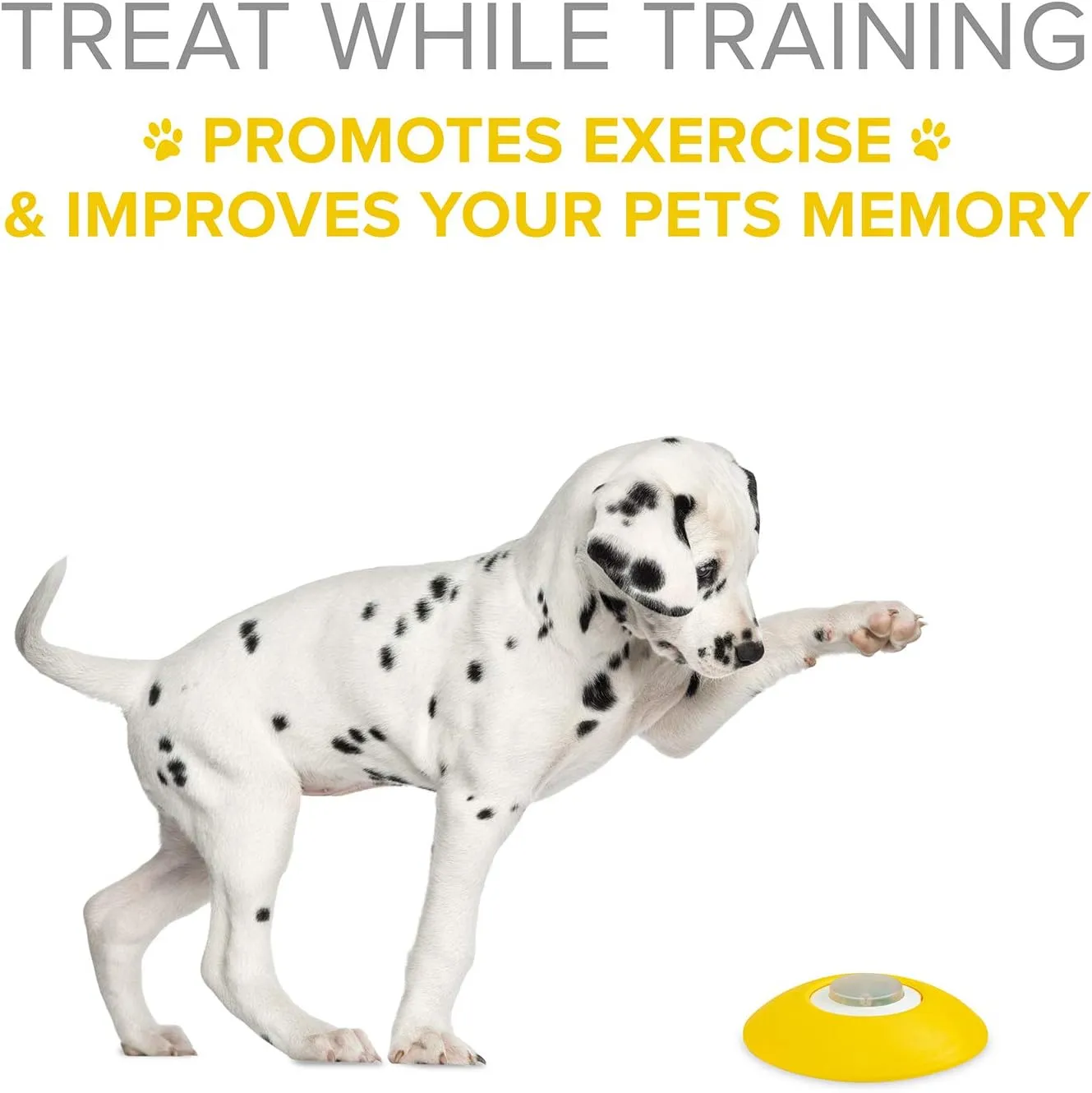 Arf Pets Dog Treat Dispenser with Remote Button  Dog Memory Training Activity Toy  Treat While Train, Promotes Exercise by Rewards, Improves Memory & Positive Training for A Healthier & Happier Pet