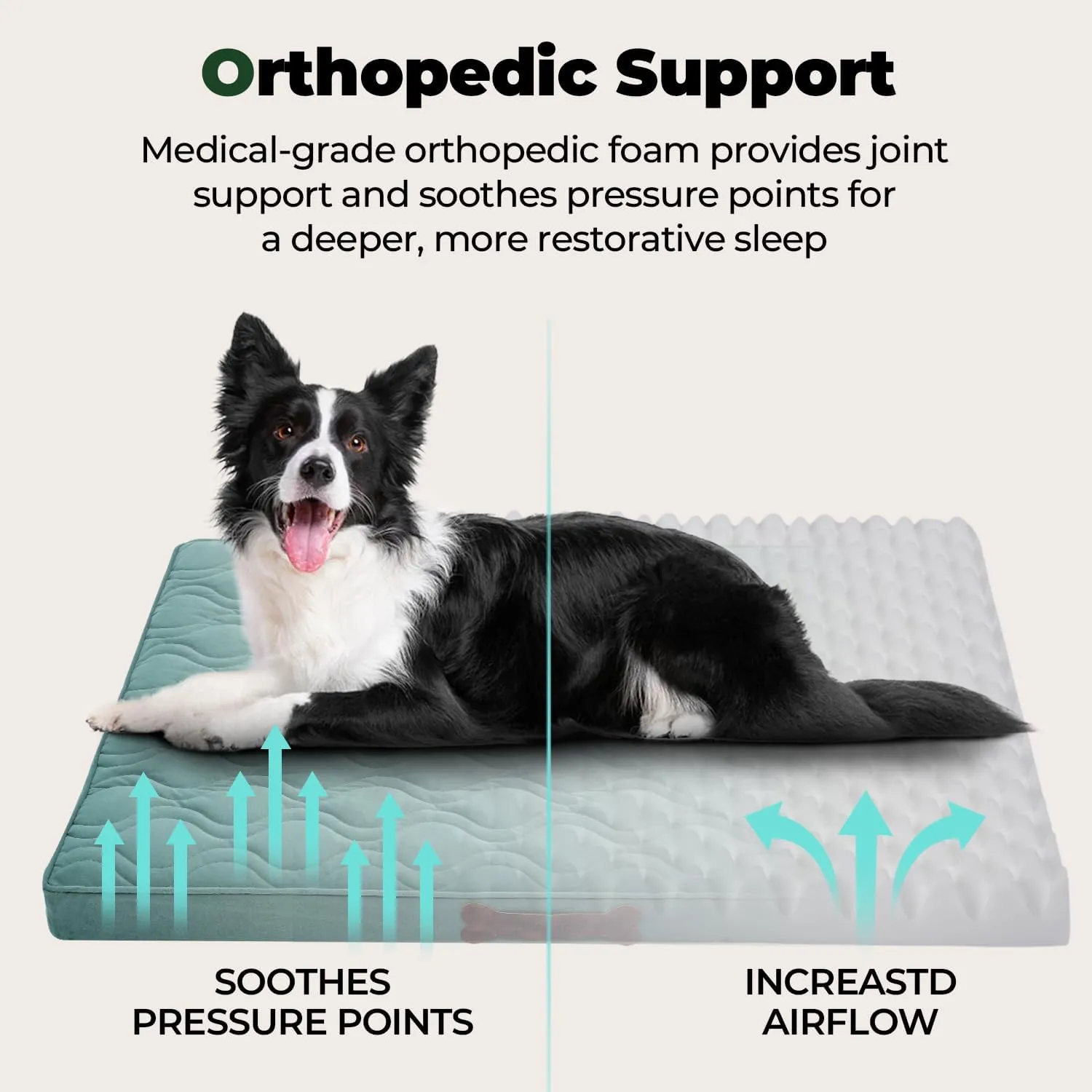 BALANCE Dog Crate Bed, Water-Resistant Orthopedic Dog Beds with Nonskid Bottom, Washable Kennel Bed Dog Mattress