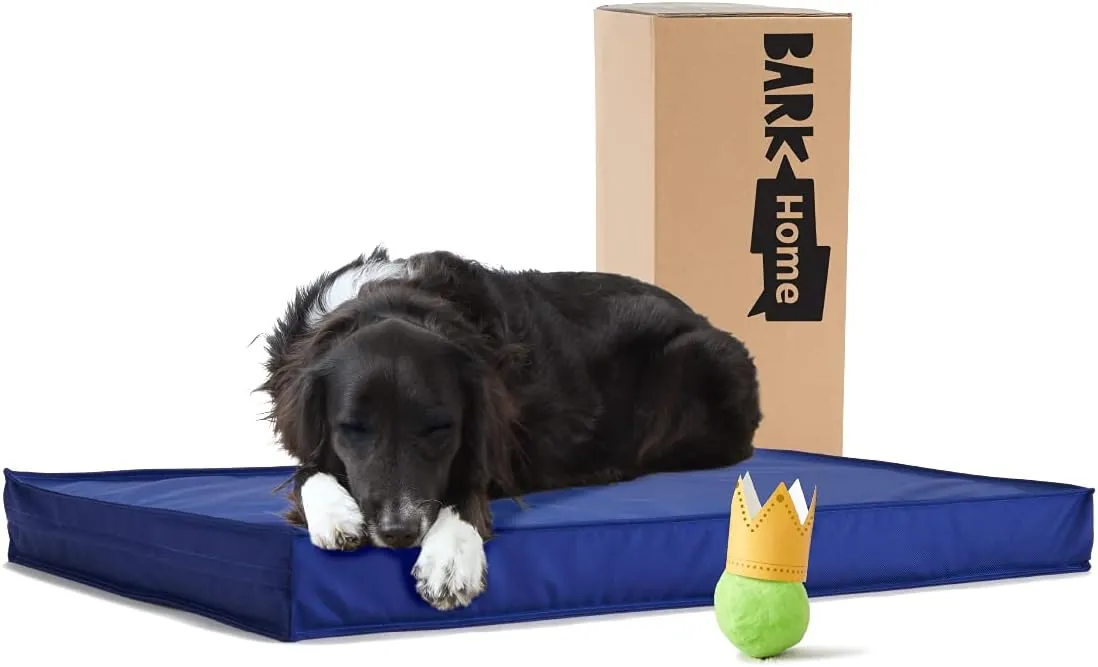 Barkbox - Outdoor Dog Bed - Waterproof Dog or Cat Mattress with Removable Cover - Platform Bed with Washable Cover, Durable, Portable - Indoor/Outdoor All Season Orthopedic Comfort - Large - Blue