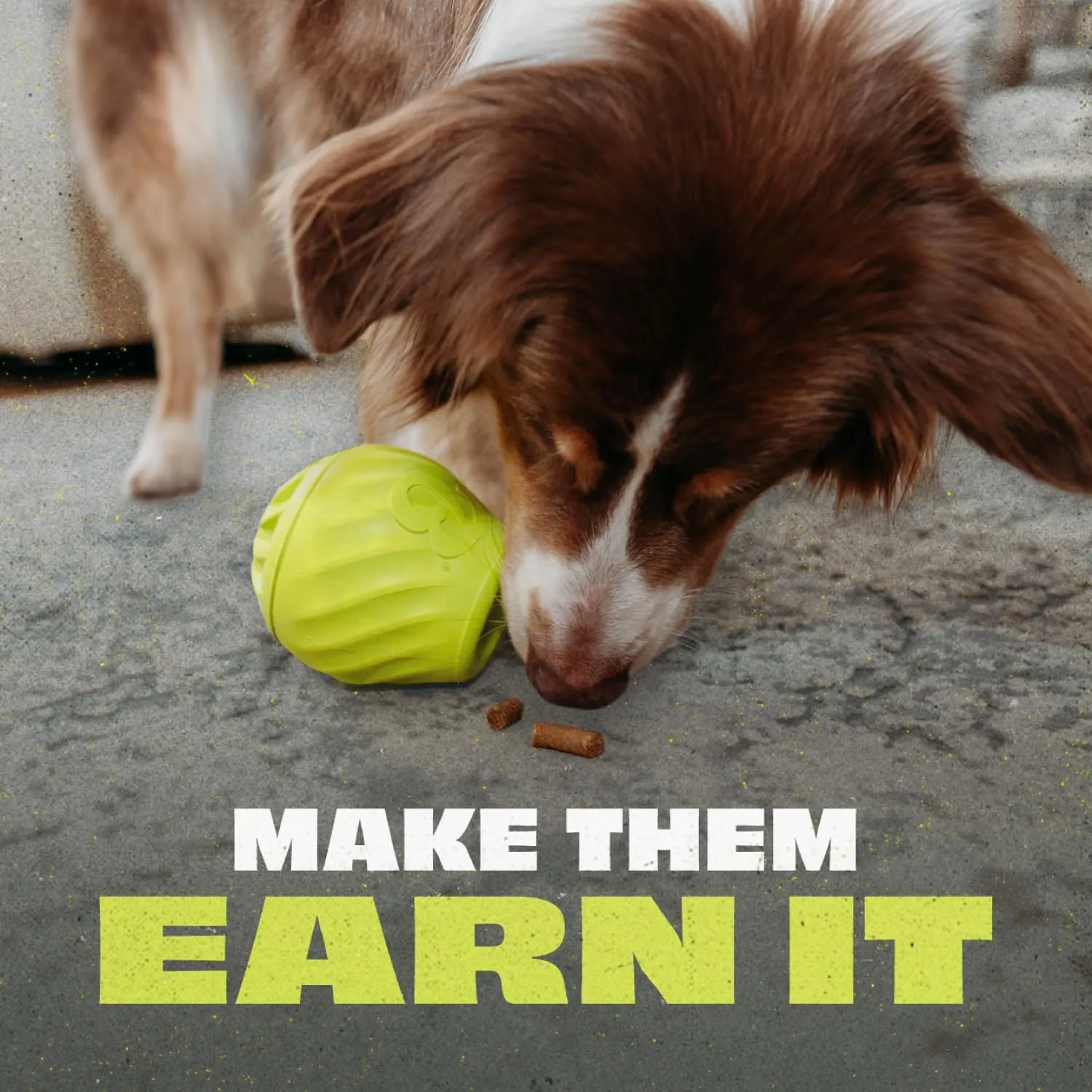 Benebone Pawbler - Natural Rubber Interactive Enrichment Treat and Kibble Dispensing Dog Toy  Great for Boredom - Medium/Large