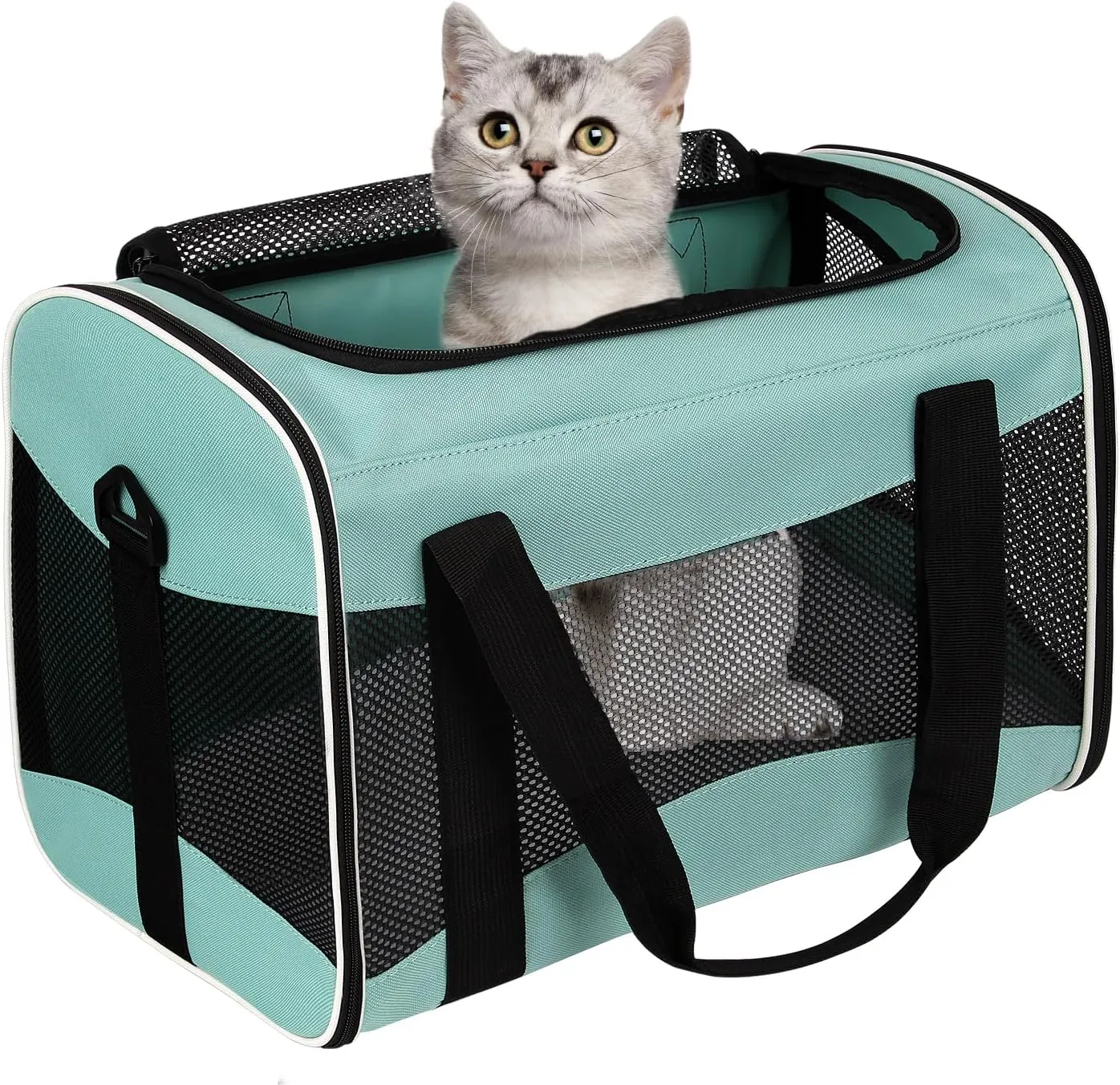 Cat Carrying Case Pet Dog Carrier Soft-Sided Bag Airline Approved, Pet Travel Carrier Up to 15 Lbs, Collapsible Cat Carrier Dog Carrier for Medium Cats Small Cats Dogs(17x11x11 Green)