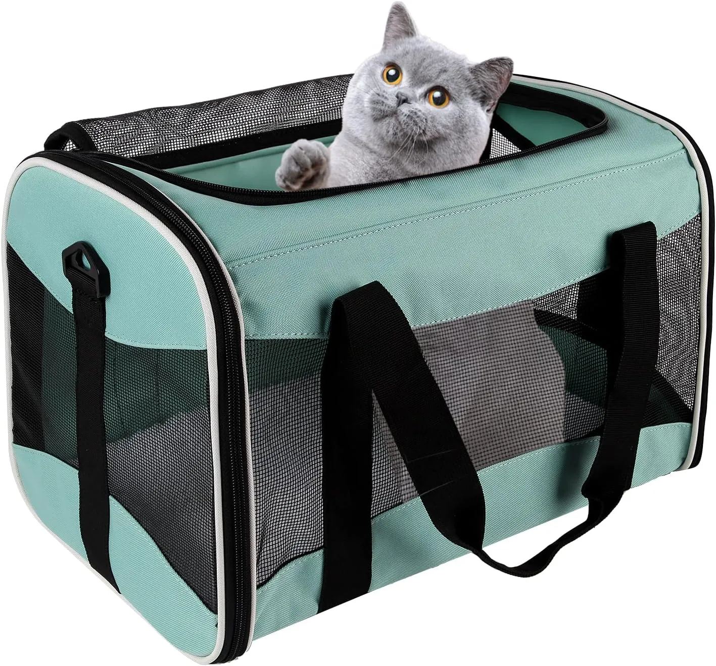 Cat Carrying Case Pet Dog Carrier Soft-Sided Bag Airline Approved, Pet Travel Carrier Up to 15 Lbs, Collapsible Cat Carrier Dog Carrier for Medium Cats Small Cats Dogs(17x11x11 Green)