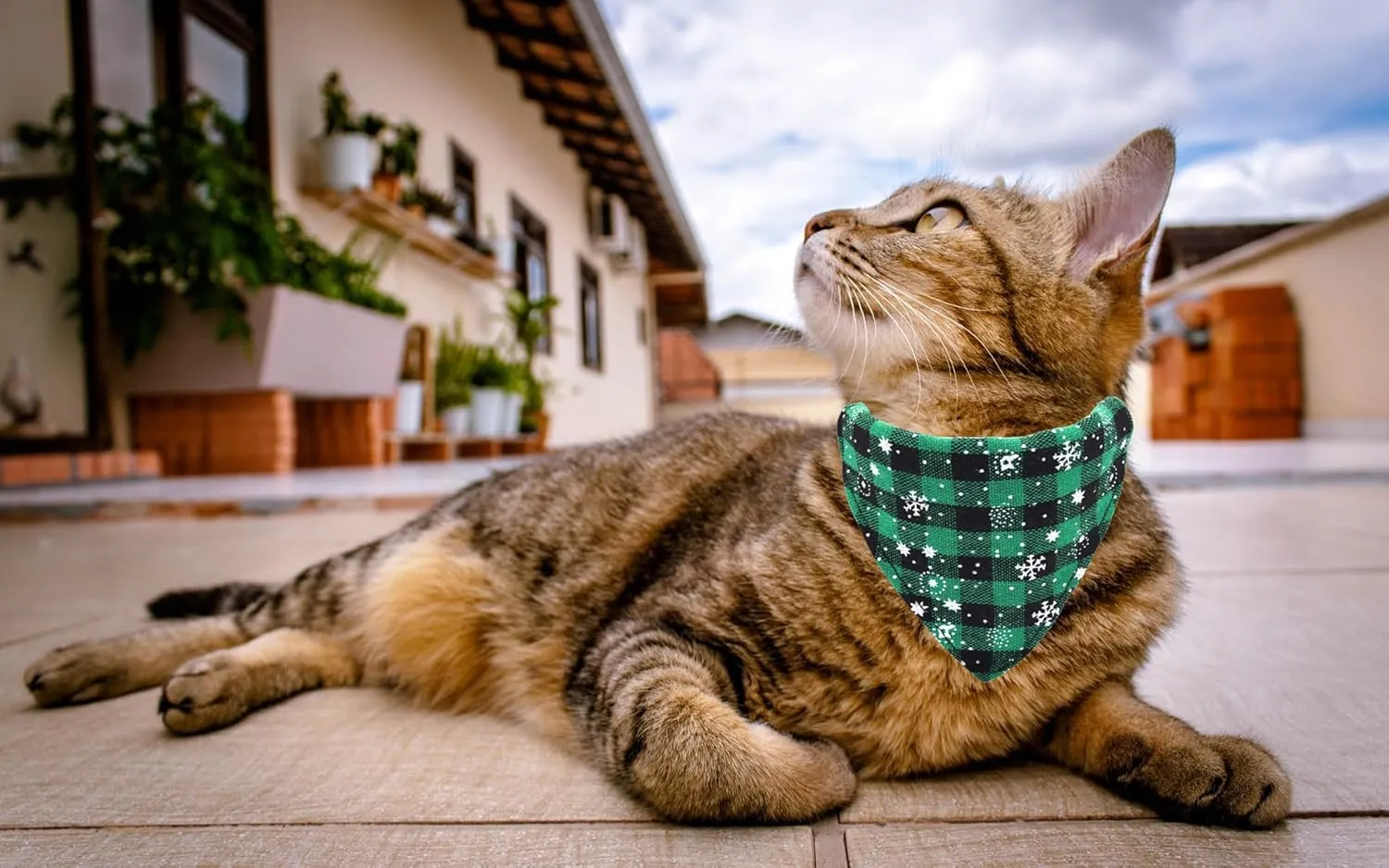 Christmas Cat Collars Breakaway with Bow Tie and Bandana, 2 Pack Red Green Plaid Christmas Kitten Collar with Bell, Removable Bowtie Bandana Cat Collar for Cats Kittens (S, Green)