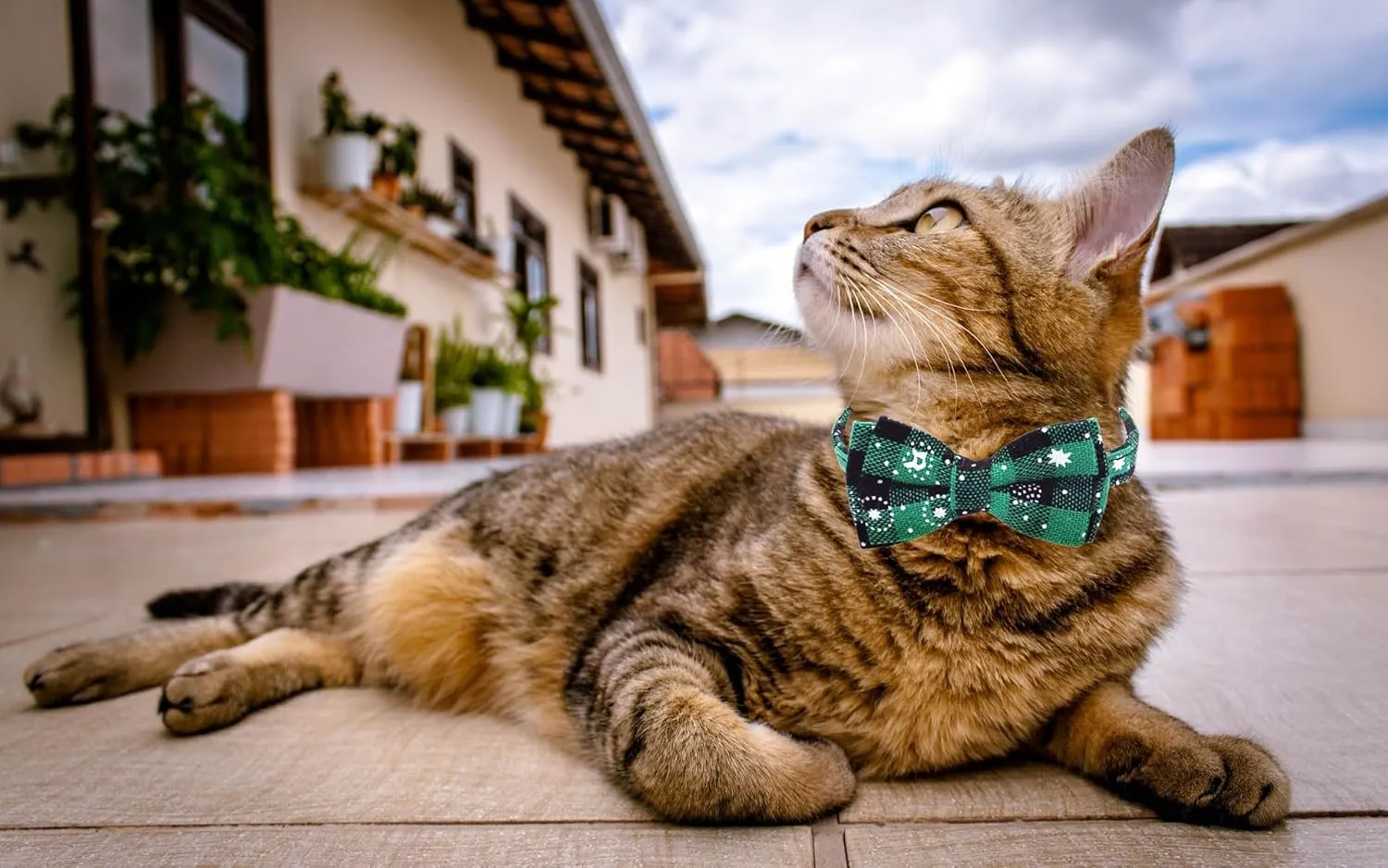 Christmas Cat Collars Breakaway with Bow Tie and Bandana, 2 Pack Red Green Plaid Christmas Kitten Collar with Bell, Removable Bowtie Bandana Cat Collar for Cats Kittens (S, Green)