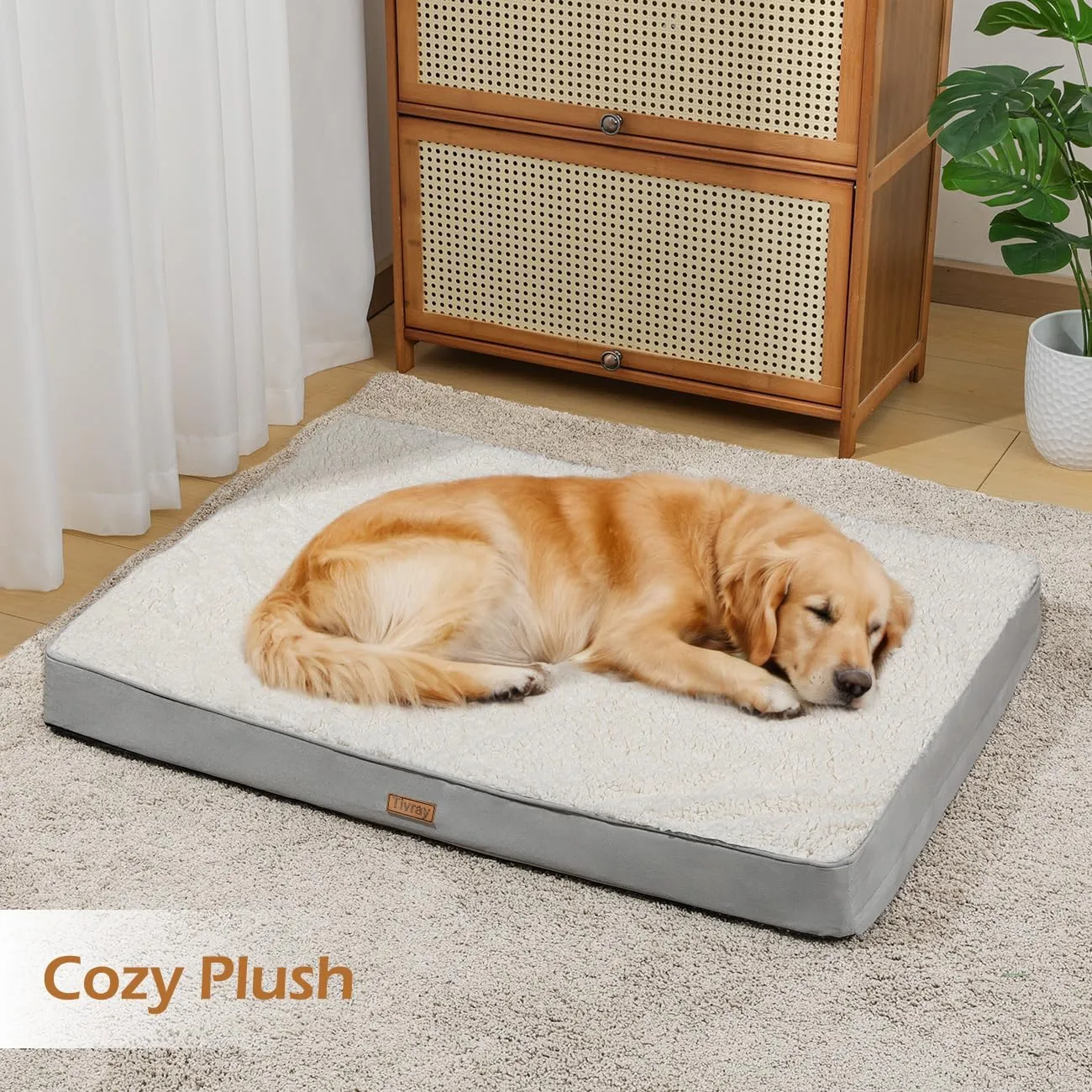 Dog Bed Cover, Washable Replacement Large Dog Bed Sheet with 3-Sided Continuous Zipper, Waterproof Liner, Soft Plush, Pet Mattress Fluffy Protector, 36x27x3 inch - L, Cover Only White