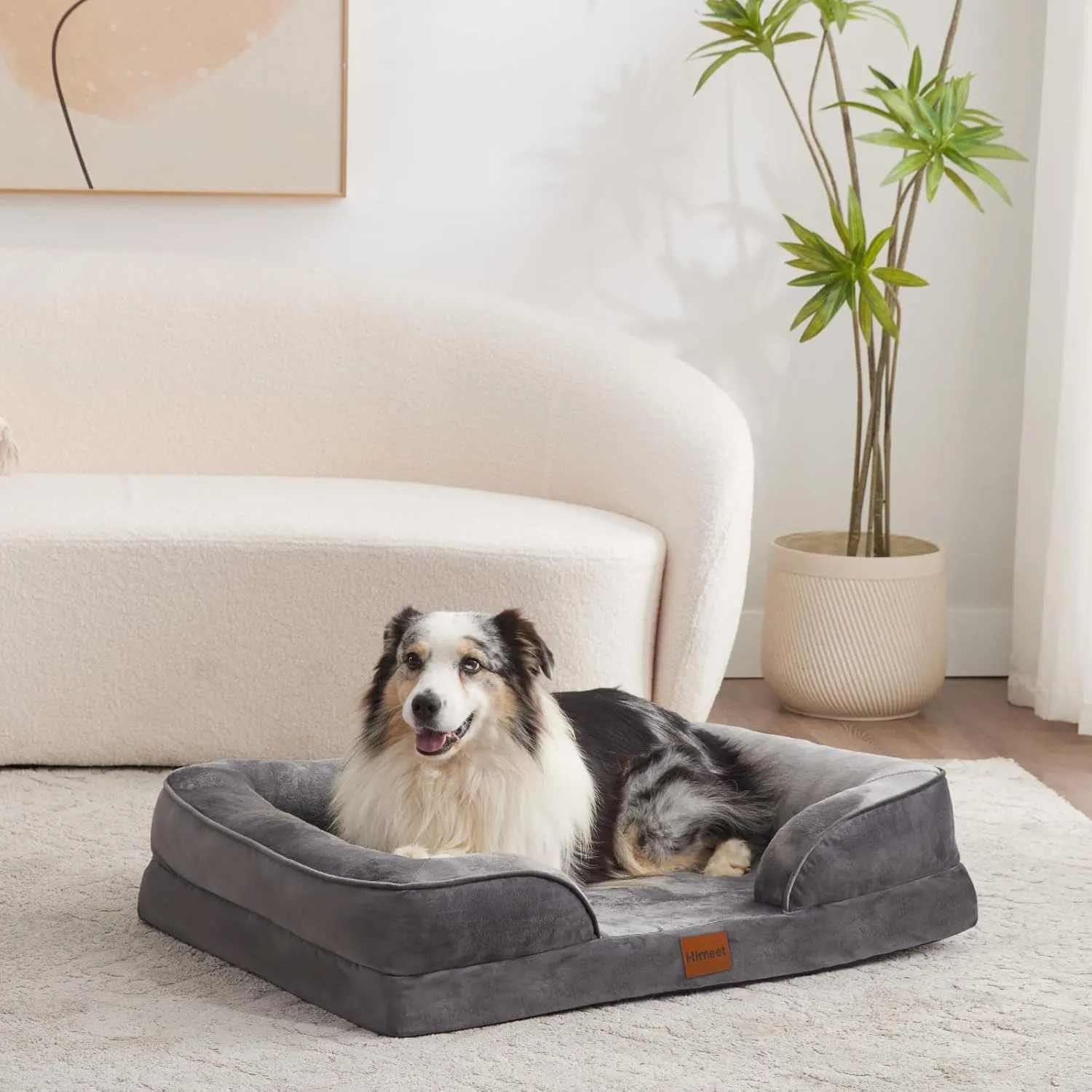 Dog Bed Large Size Dog 35x25 Outdoor Waterproof Washable for Large Breed Dogs Up to 50 lbs