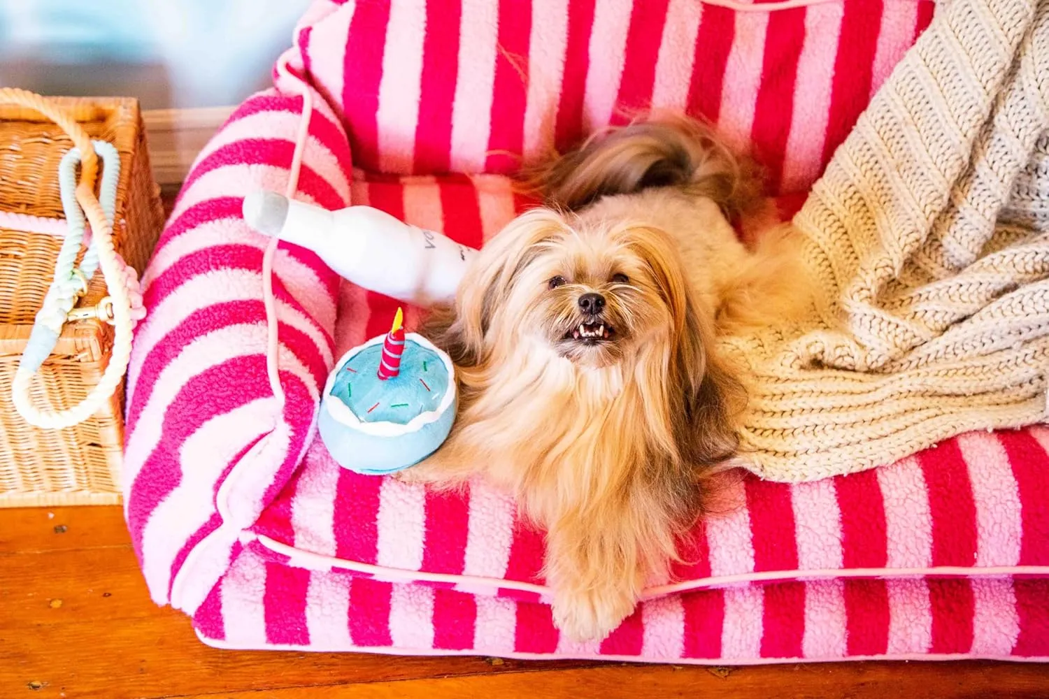 Dog Bed - Luxurious and Decorative Design Enhances Home Decor - Pink Cat Bed, Striped Pet Bed, Dog Sofa Bed with Premium Pillow Cushions for Ultimate Pet Comfort - Machine Washable Cover (Pink, XXL)