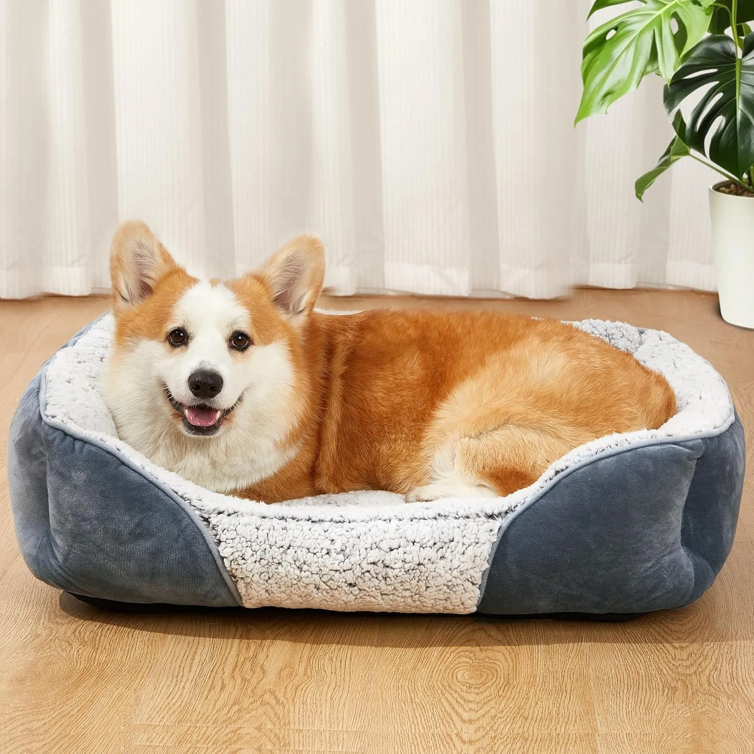 Dog Beds Small Medium Large Size Dog, Cat Beds for Indoor Cats Washable, Rectangle Calming Sleeping Warming Orthopedic Puppy Dog Beds, Non-Slip Bottom Breathable Soft Couch