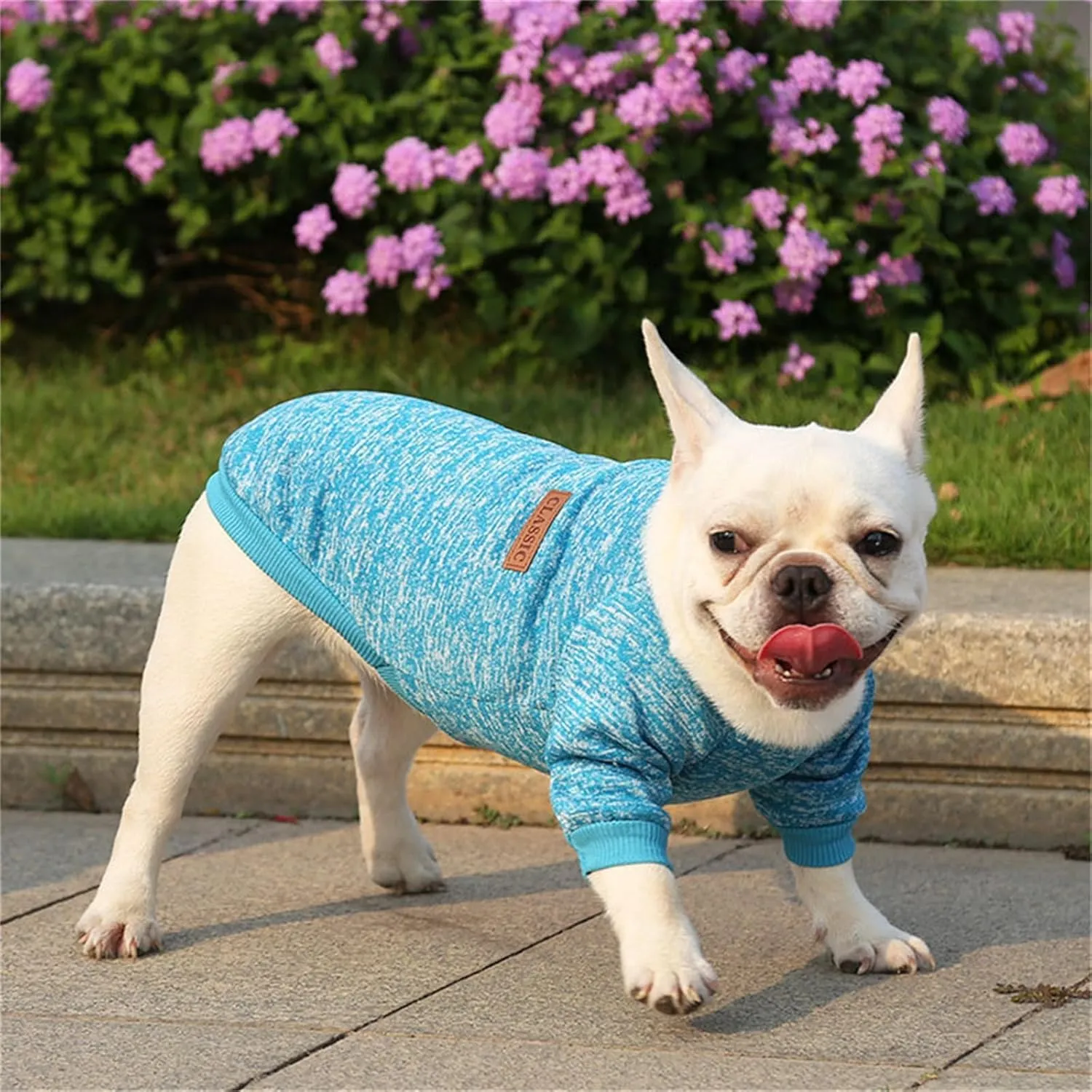 Dog Sweaters for Small/Medium/Large Dogs Stylish Cat Sweater Warm Pet Apparel for Spring/Fall/Winter(Blue, L)