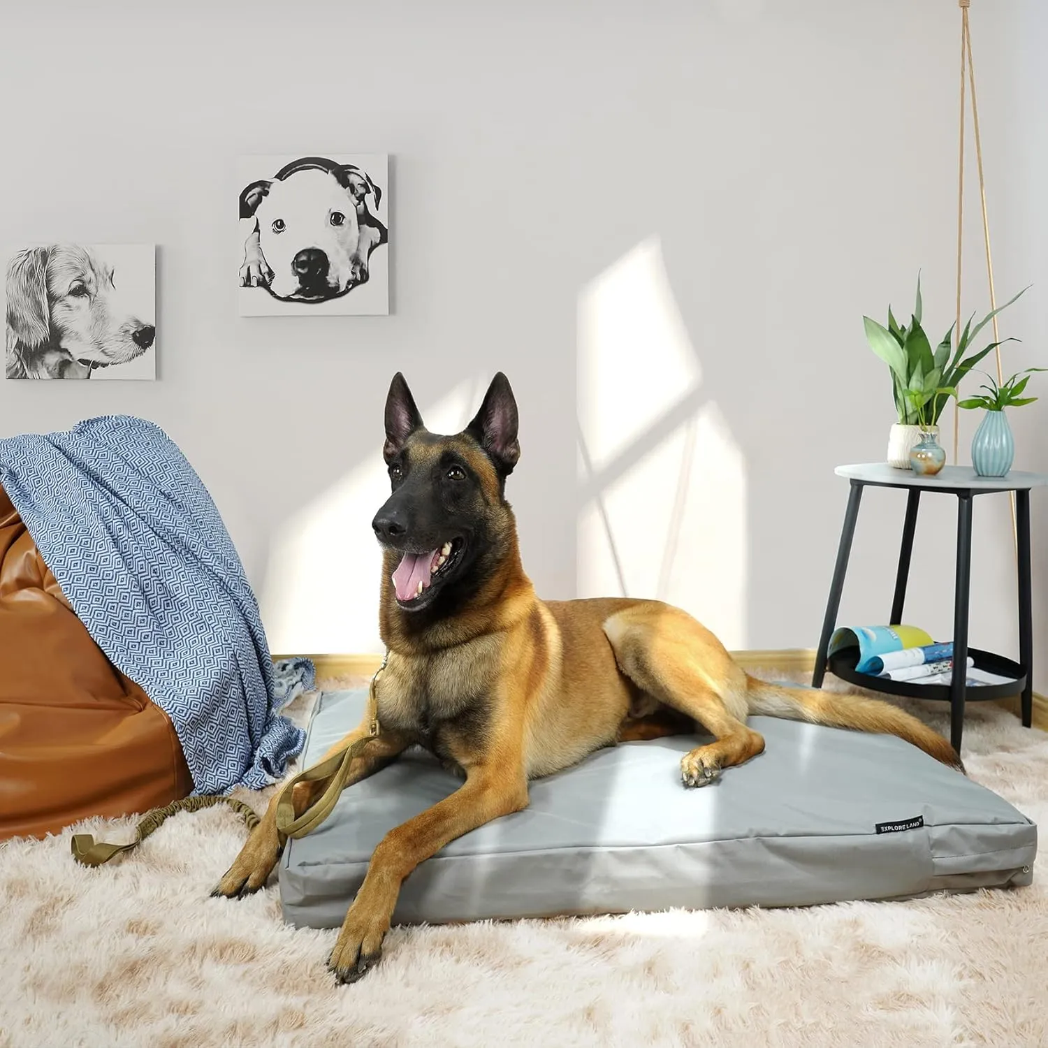 Explore Land Waterproof Dog Bed Cover Canvas Washable Dog Crate Pad Replacement Cover for 36 Inch Crate, 34Lx22Wx3.5H inch, Gray