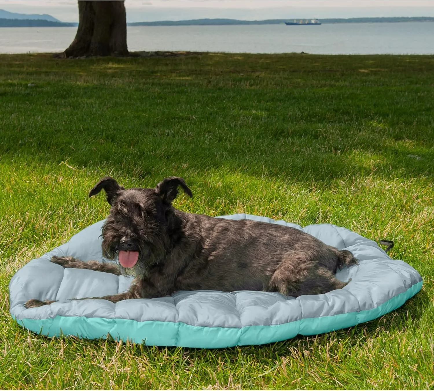 Furhaven Outdoor Travel Dog Bed for Small Dogs w/ Carry Bag, Washable & Foldable, Great for Crates & Kennels - Trail Pup Travel Pillow Mat w/ Stuff Sack Bag - Aqua/Granite Gray, Small