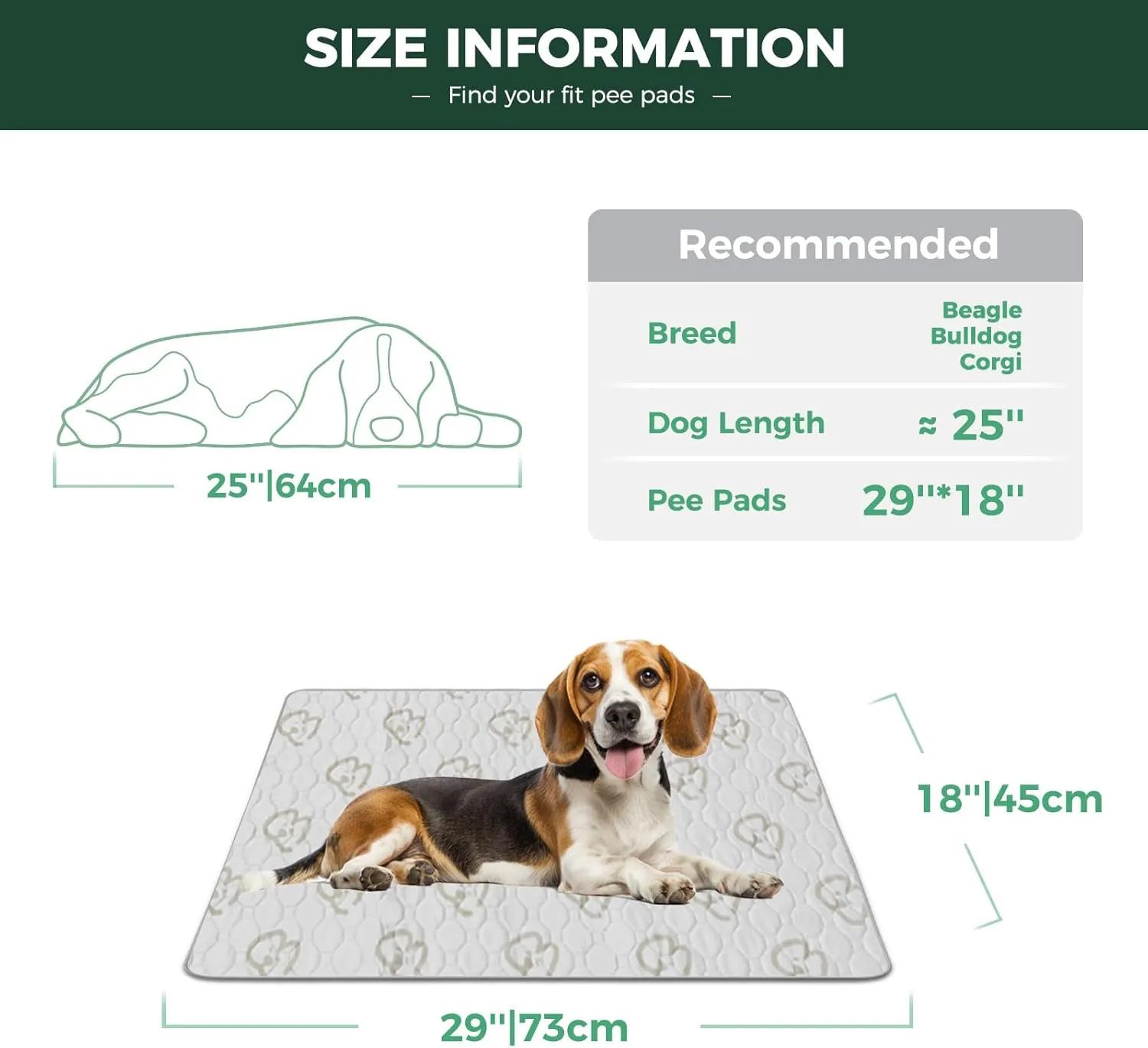 FXW Washable Pee Pads for Dogs, Puppy Pads with Super Absorbent, Specifically Designed for 30inch Cages, Rectangle, 29" x 18", 2 Packs