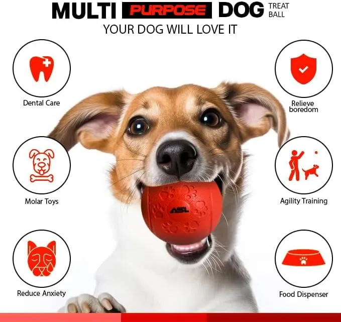 Interactive Dog Treat Ball, 2-Pack Durable Chew Balls for Puppies and Dogs
