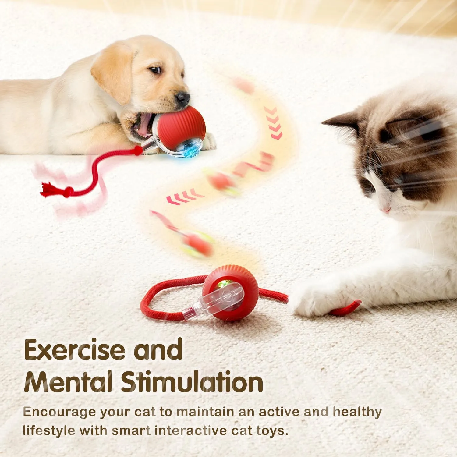 Interactive Rolling Cat Dog Ball Toy, 2025 New Automatic Interactive Cat Toys Dog Ball Toy Self Moving Cat Toys, 360 Smart Automatic Rechargeable Ball Toy Electric Dog Balls for Dog/Cat (Red)
