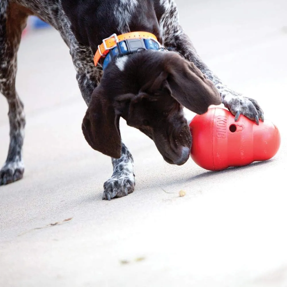 KONG Wobbler - Interactive Dog Toy for Treat Dispensing - Dog Slow Feeder for Healthy Eating - for Medium/Large Dogs