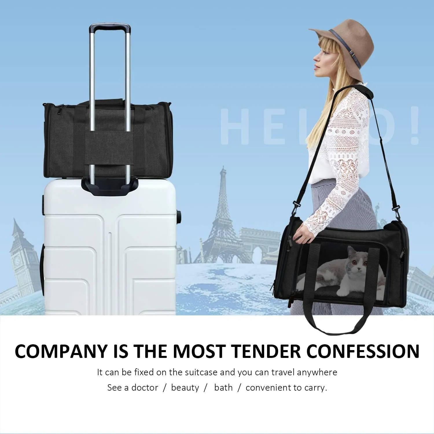 Large Soft Sided Cat and Pet Carrier for Cats and Puppies up to 25Lbs - Collapsible, Waterproof Travel Carrier - Black