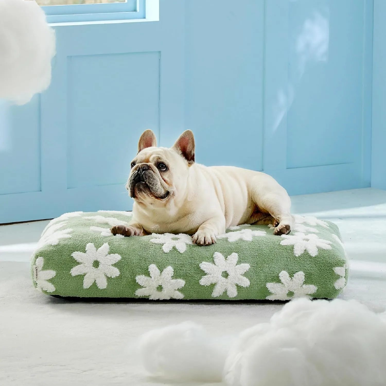 Lesure Dog Beds Medium Size-Thick Shredded Chopped Foam Pet Bed Indoor with Removable Cover, Cute Modern Fuzzy Plush & Anti Slip Bottom, Green