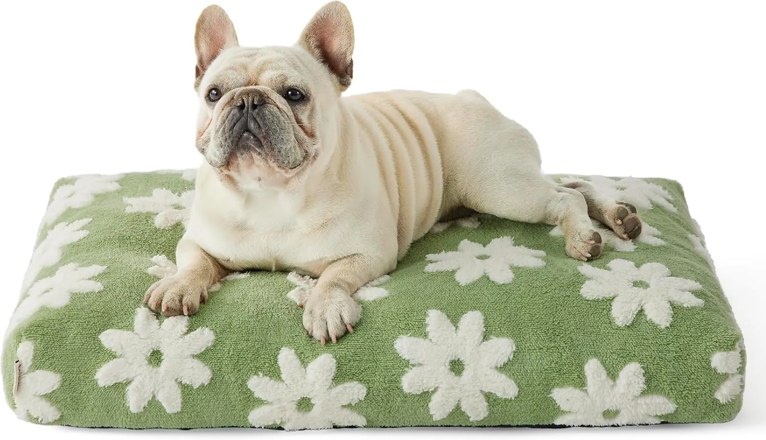 Lesure Dog Beds Medium Size-Thick Shredded Chopped Foam Pet Bed Indoor with Removable Cover, Cute Modern Fuzzy Plush & Anti Slip Bottom, Green