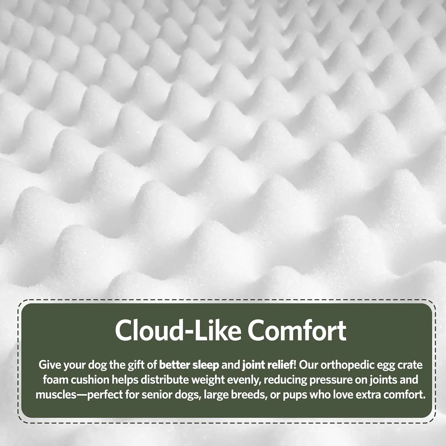 MidWest Homes for Pets Orthoperdic Egg-Crate Nesting Pet Bed w/Teflon Fabric Protector, XS Green