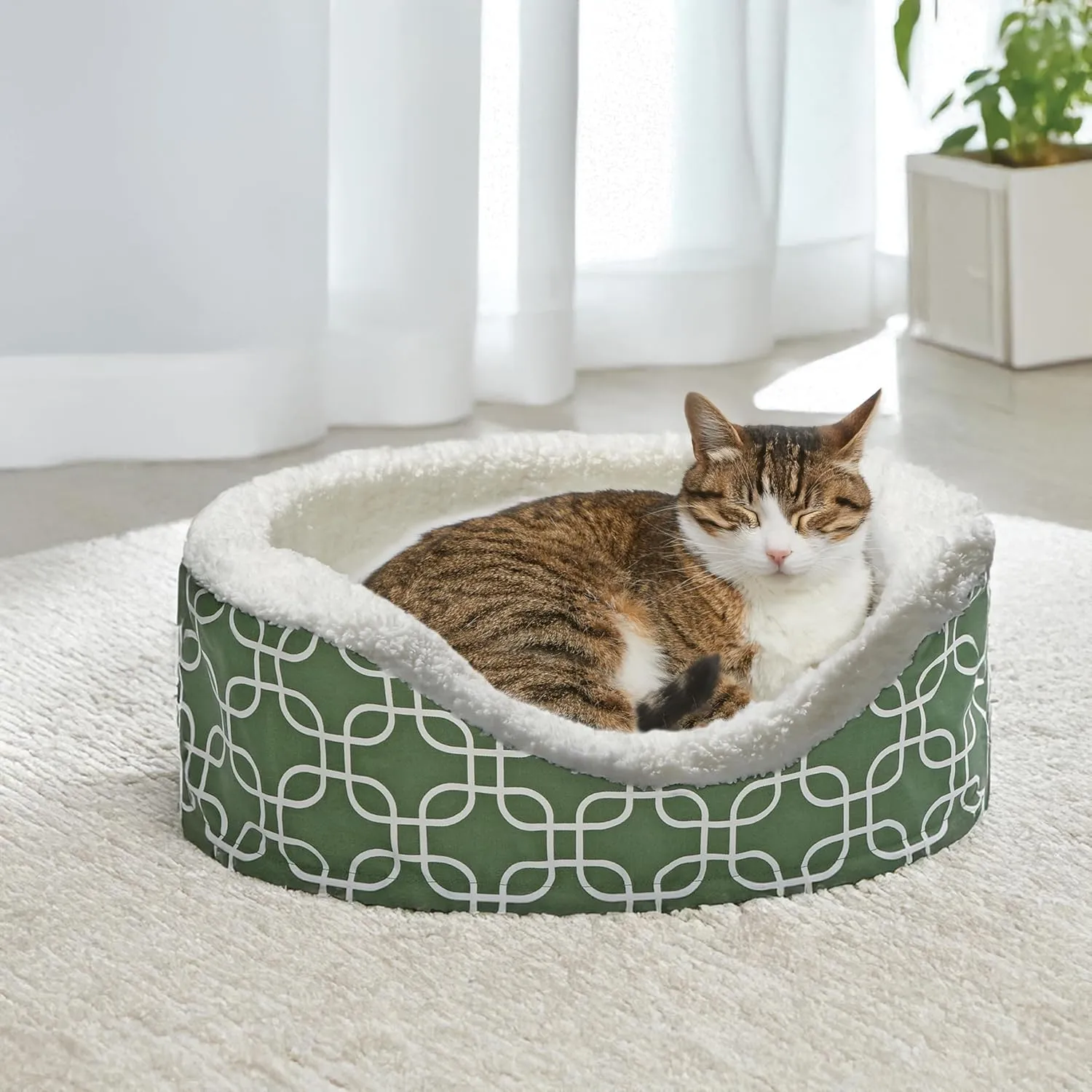 MidWest Homes for Pets Orthoperdic Egg-Crate Nesting Pet Bed w/Teflon Fabric Protector, XS Green