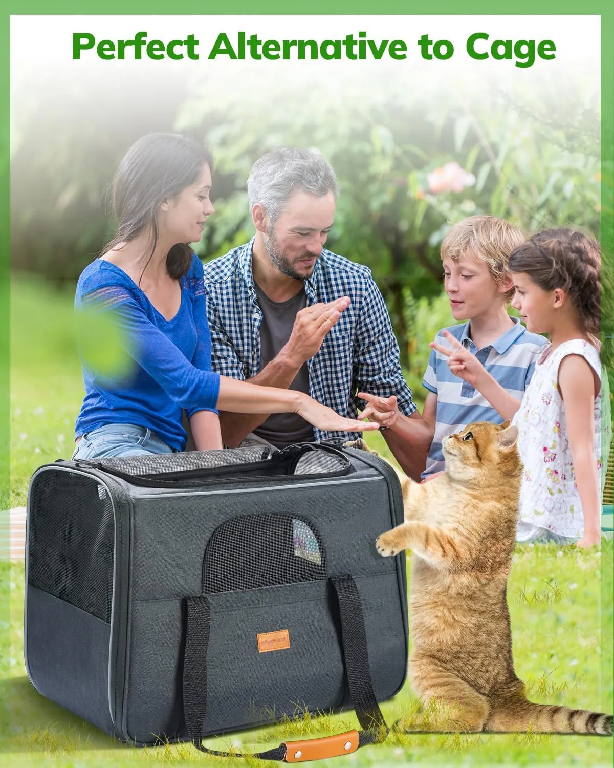 Morpilot Pet Travel Carrier Bag, Soft-Sided Dog Carrier Cat Carrier Pet Carrier (18 x 12.5 x 14 Inches), for Large Cats and Medium Puppies, w/Locking Safety Zippers, Foldable Bowl