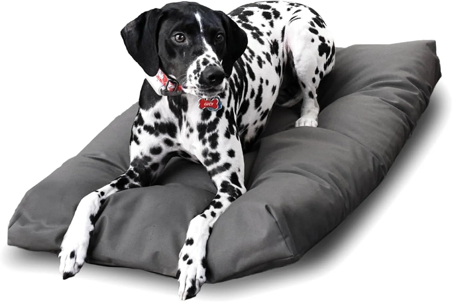 Naturepedic Organic Pet Bed Cover - Washable Waterproof Mattress Protector - Removable Cover for Dog and Cat Bed - Small
