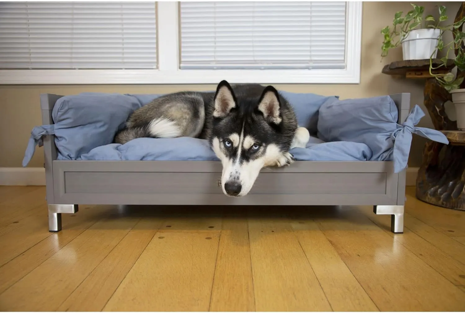 New Age Pet ECOFLEX Manhattan Elevated Dog Bed with Memory Foam Cushion, Durable Wood-Plastic Composite Frame, Removable Washable Cover, Ideal for Pets Up to 110 lbs - Grey