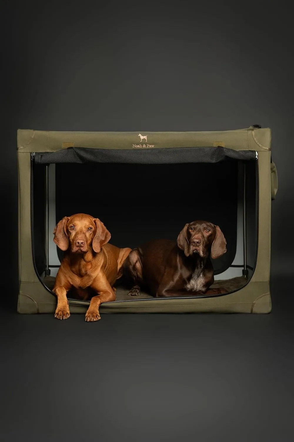 Noah & Paw Collapsible Dog Crate 36 Inches, XL Dog Crate for XL, Large Medium Breed, Travel Kennel for Car, Includes Pet Mat for Pet Cage, 2 Storage Pockets, Handbag, 10mm Locking Zippers 36*25*23