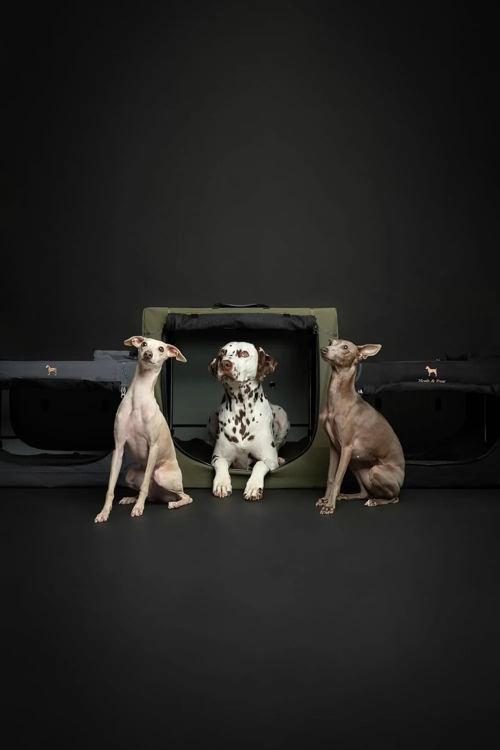 Noah & Paw Collapsible Dog Crate 36 Inches, XL Dog Crate for XL, Large Medium Breed, Travel Kennel for Car, Includes Pet Mat for Pet Cage, 2 Storage Pockets, Handbag, 10mm Locking Zippers 36*25*23