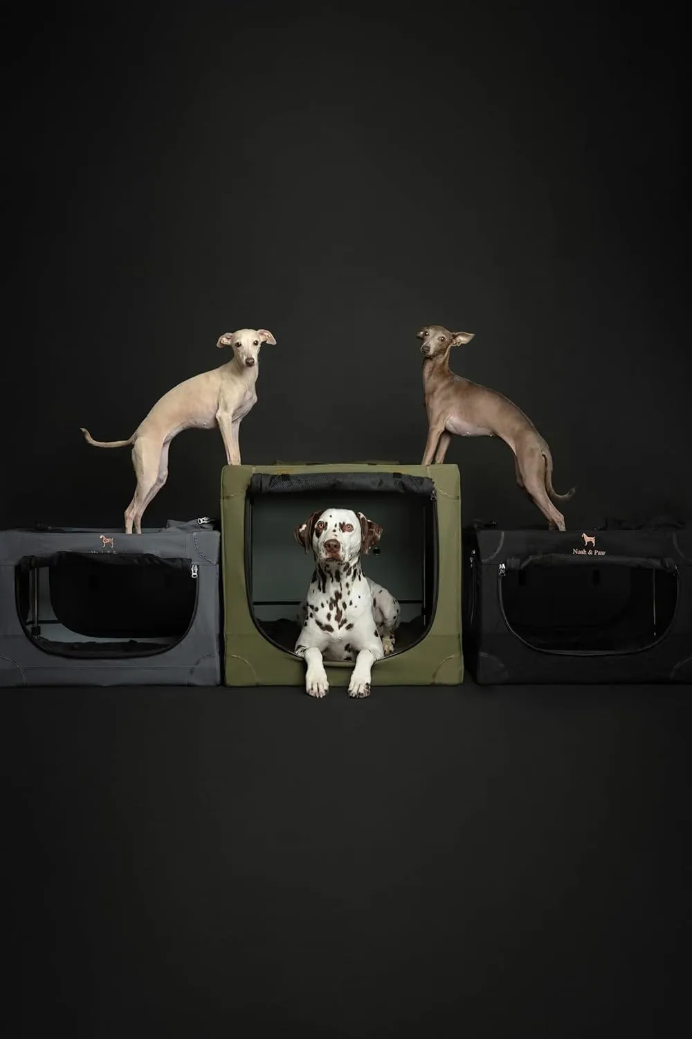 Noah & Paw Collapsible Dog Crate 36 Inches, XL Dog Crate for XL, Large Medium Breed, Travel Kennel for Car, Includes Pet Mat for Pet Cage, 2 Storage Pockets, Handbag, 10mm Locking Zippers 36*25*23