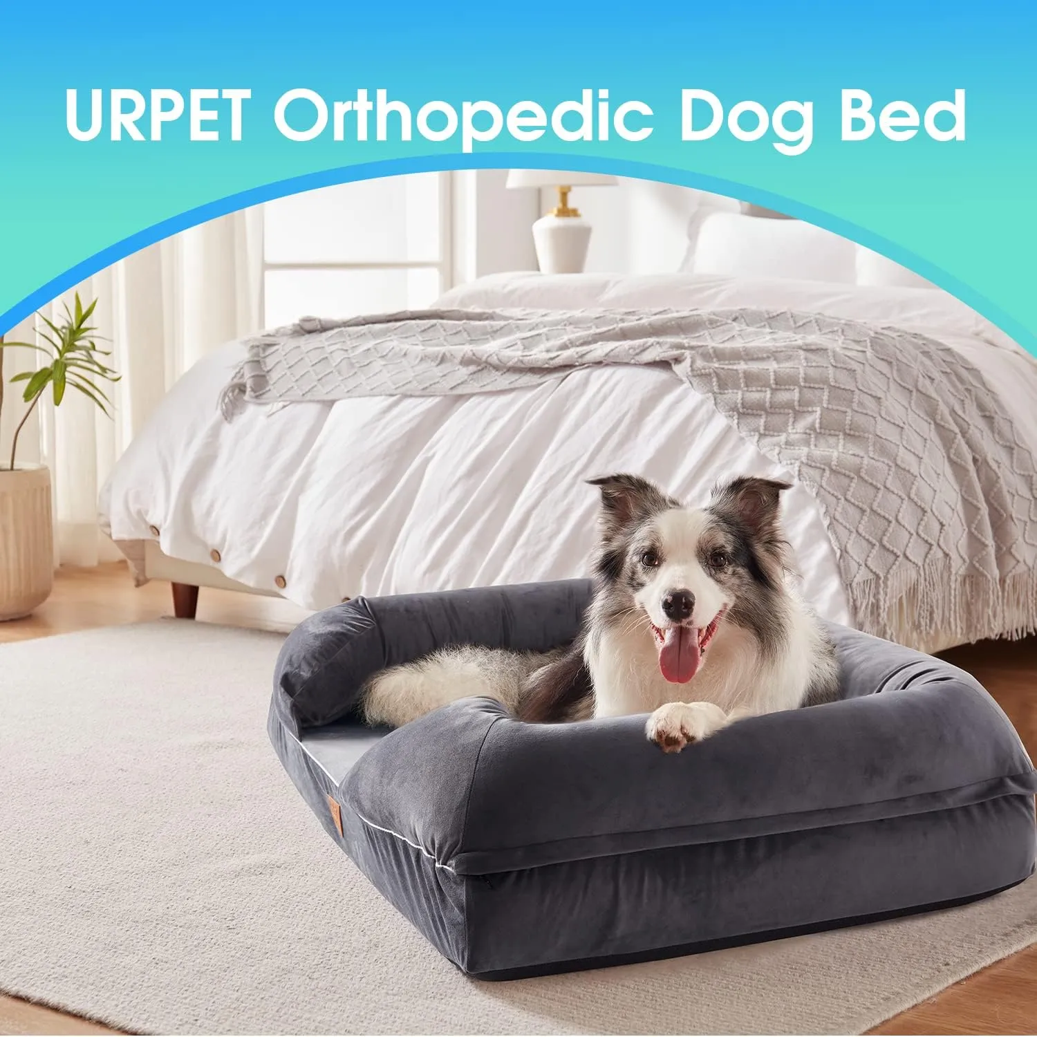 Orthopedic Dog Bed Full Memory Foam, 36x28, Grey, Waterproof Liner, Removable Cover, CertiPUR-US Certified