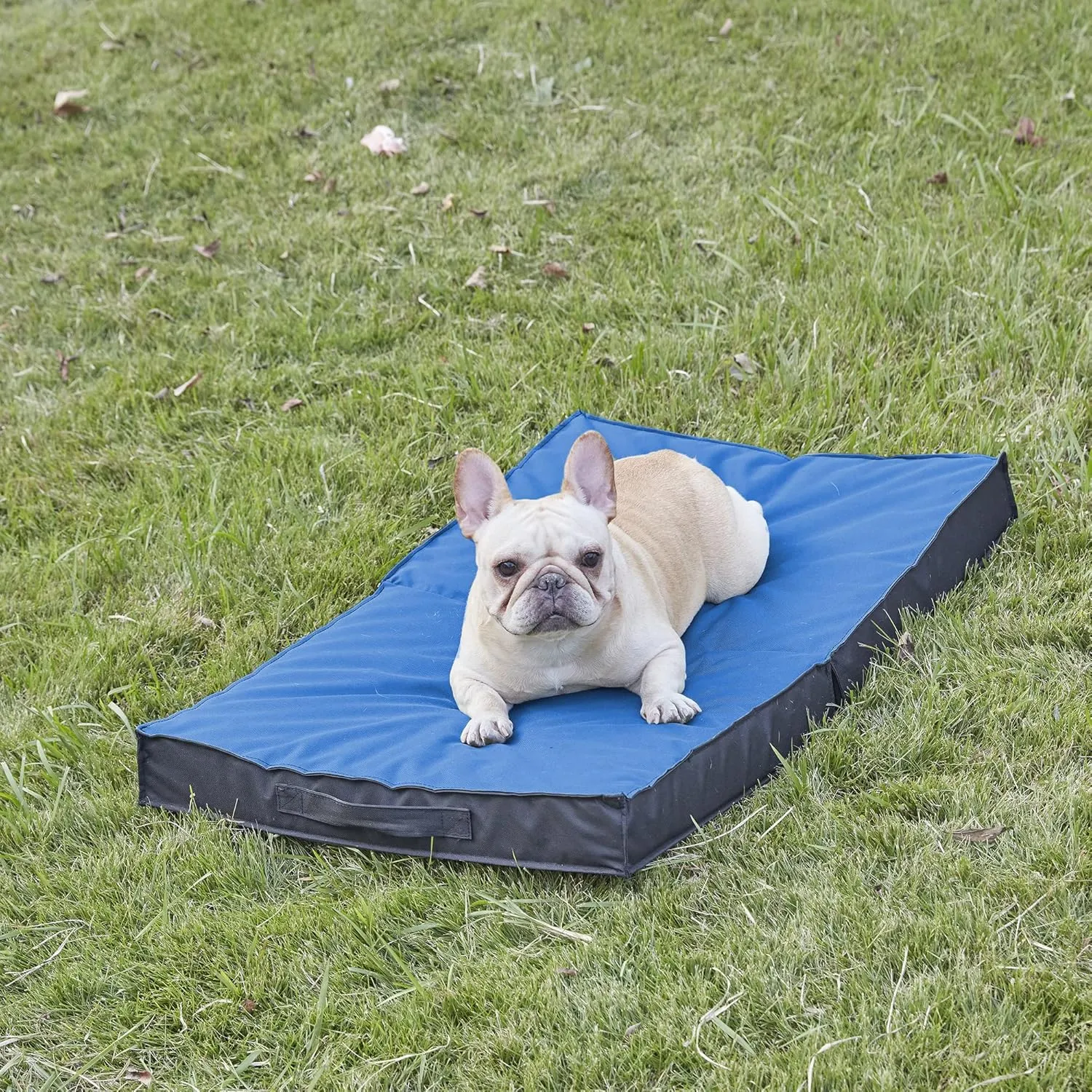 Outdoor Dog Bed - Waterproof, Portable, Foldable, Orthopedic for Large Dogs - 41" All Weather Use