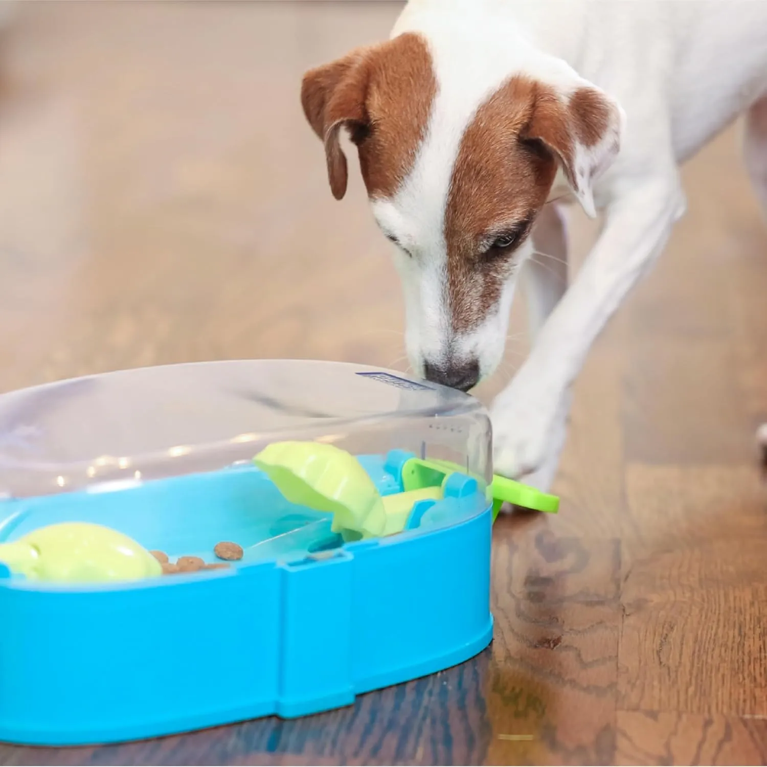 Outward Hound by Nina Ottosson Paw N' Play Dog Treat Puzzle, Level 2 Intermediate Enrichment Toy, Blue, Small