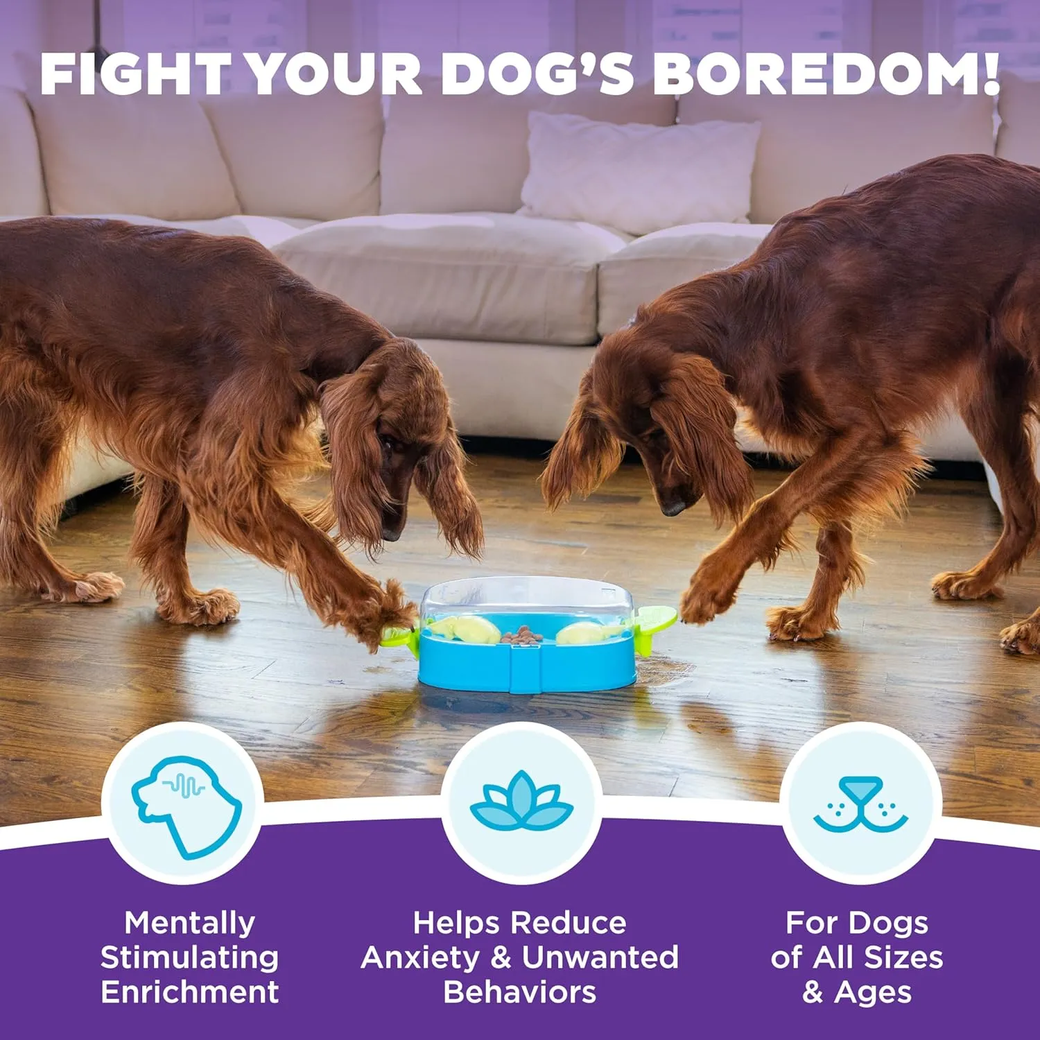Outward Hound by Nina Ottosson Paw N' Play Dog Treat Puzzle, Level 2 Intermediate Enrichment Toy, Blue, Small