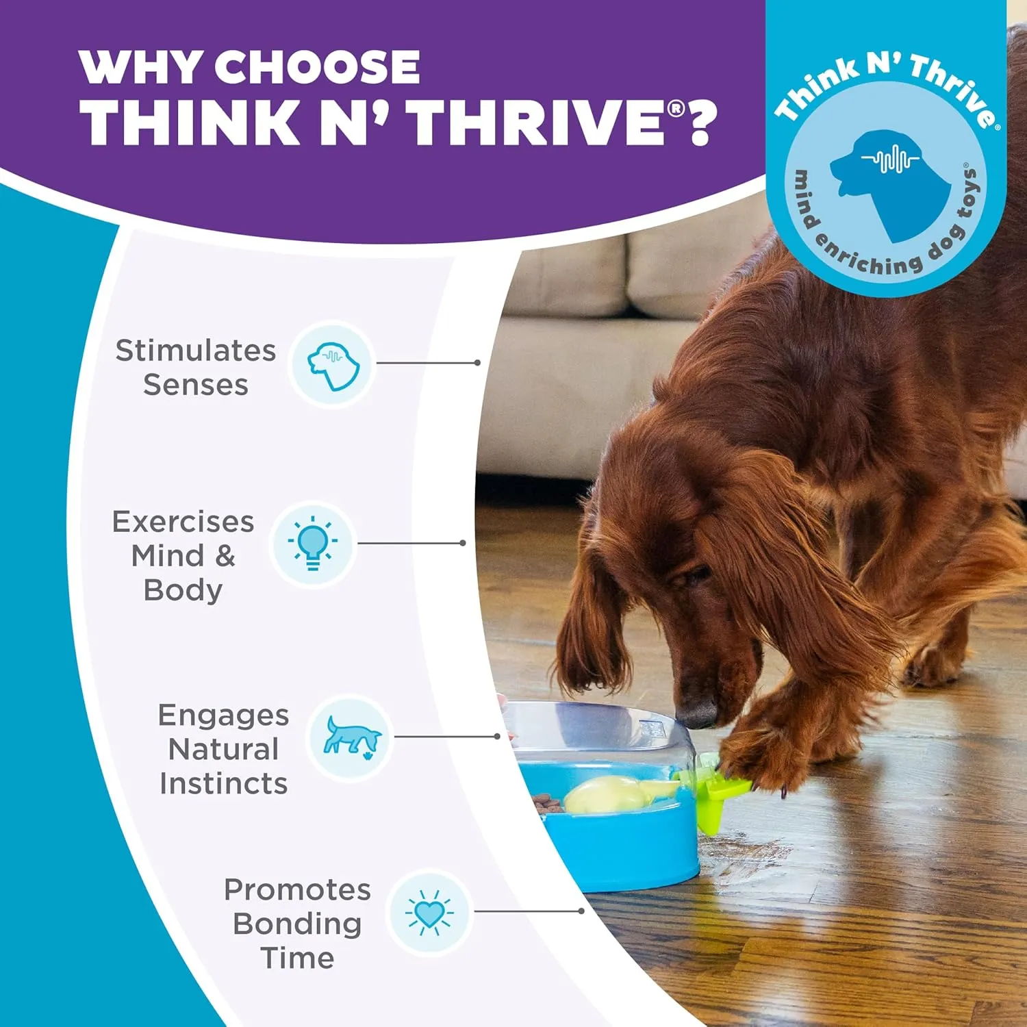 Outward Hound by Nina Ottosson Paw N' Play Dog Treat Puzzle, Level 2 Intermediate Enrichment Toy, Blue, Small