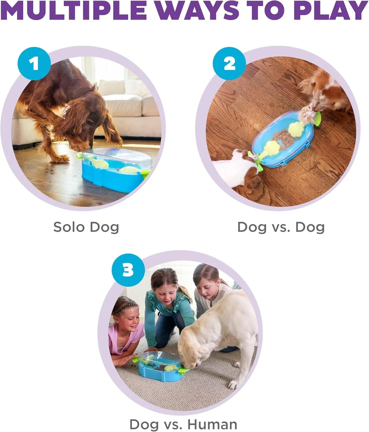 Outward Hound by Nina Ottosson Paw N' Play Dog Treat Puzzle, Level 2 Intermediate Enrichment Toy, Blue, Small