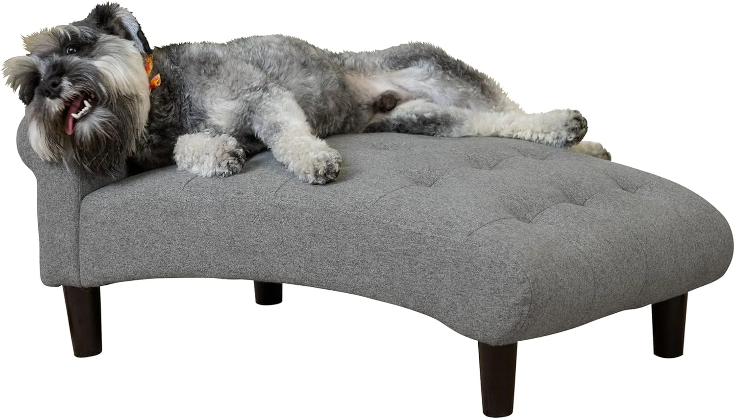 Paws & Purrs Modern 21" Wide Pet Chaise Lounge Bed for Small to Medium Dog or Cat, 28.8" L x 20.3" W x 13.3" Th, Gray