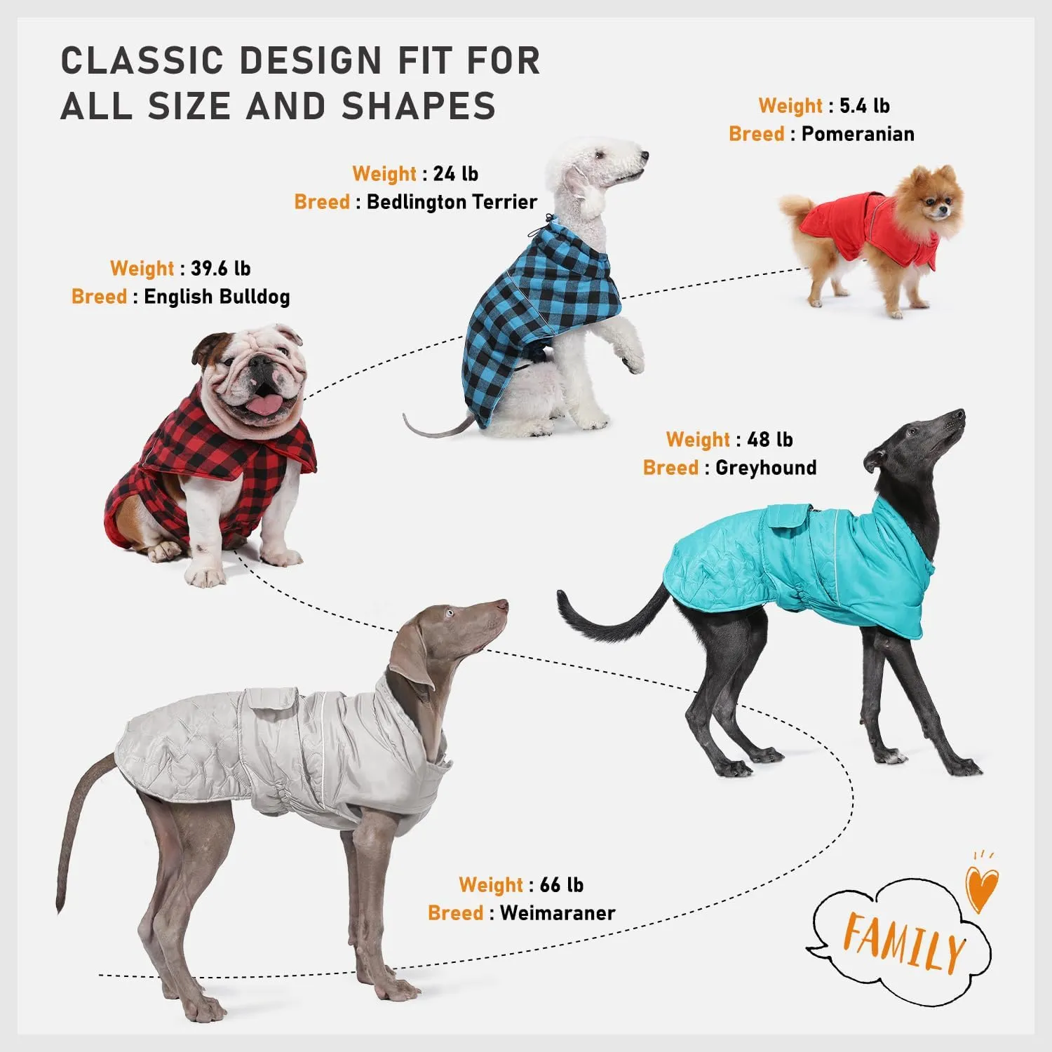 PAWZ Road Dog Winter Coat with 5 Layers Warm Material, Reversible Dog Clothes with 2 Sides, Dog Jacket Outdoor Water Repellent, (Green Plaid M)