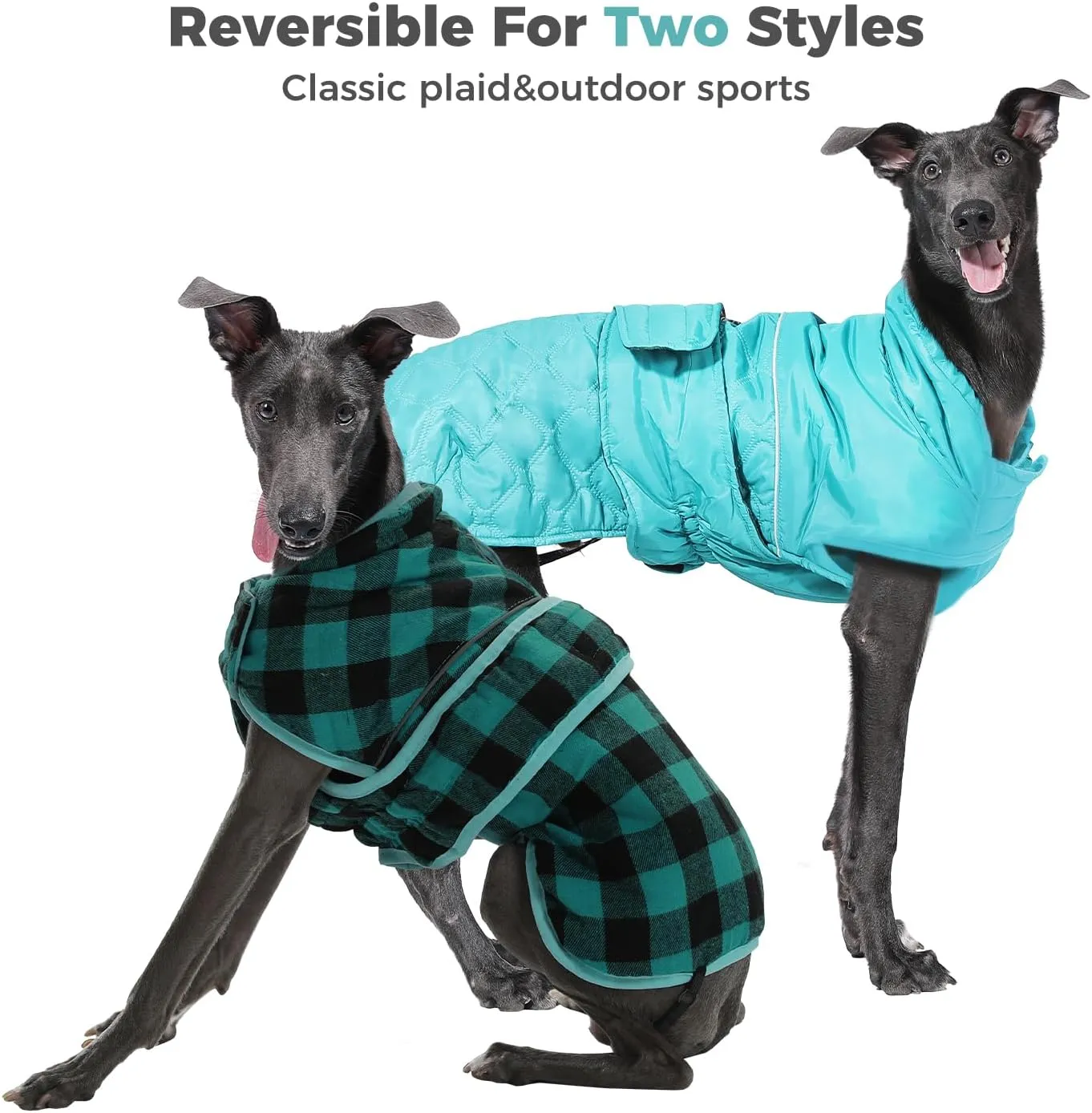PAWZ Road Dog Winter Coat with 5 Layers Warm Material, Reversible Dog Clothes with 2 Sides, Dog Jacket Outdoor Water Repellent, (Green Plaid M)