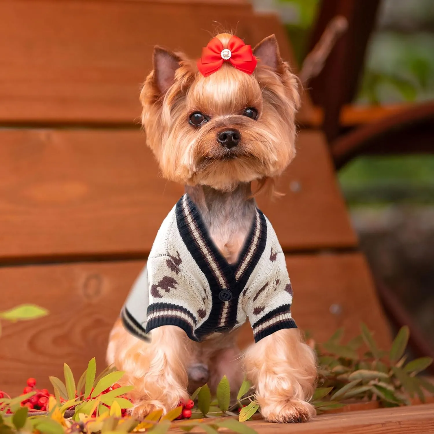 Small Dog Sweaters Cute Bear Dog Cardigans Clothes for Small Medium Dogs Boy Girl Puppy Cat Knitting Cardigan Outfits Dogs Winter Coats Warm Pet Doggy Clothes Soft Knitwear Apparel (Beige,XL)