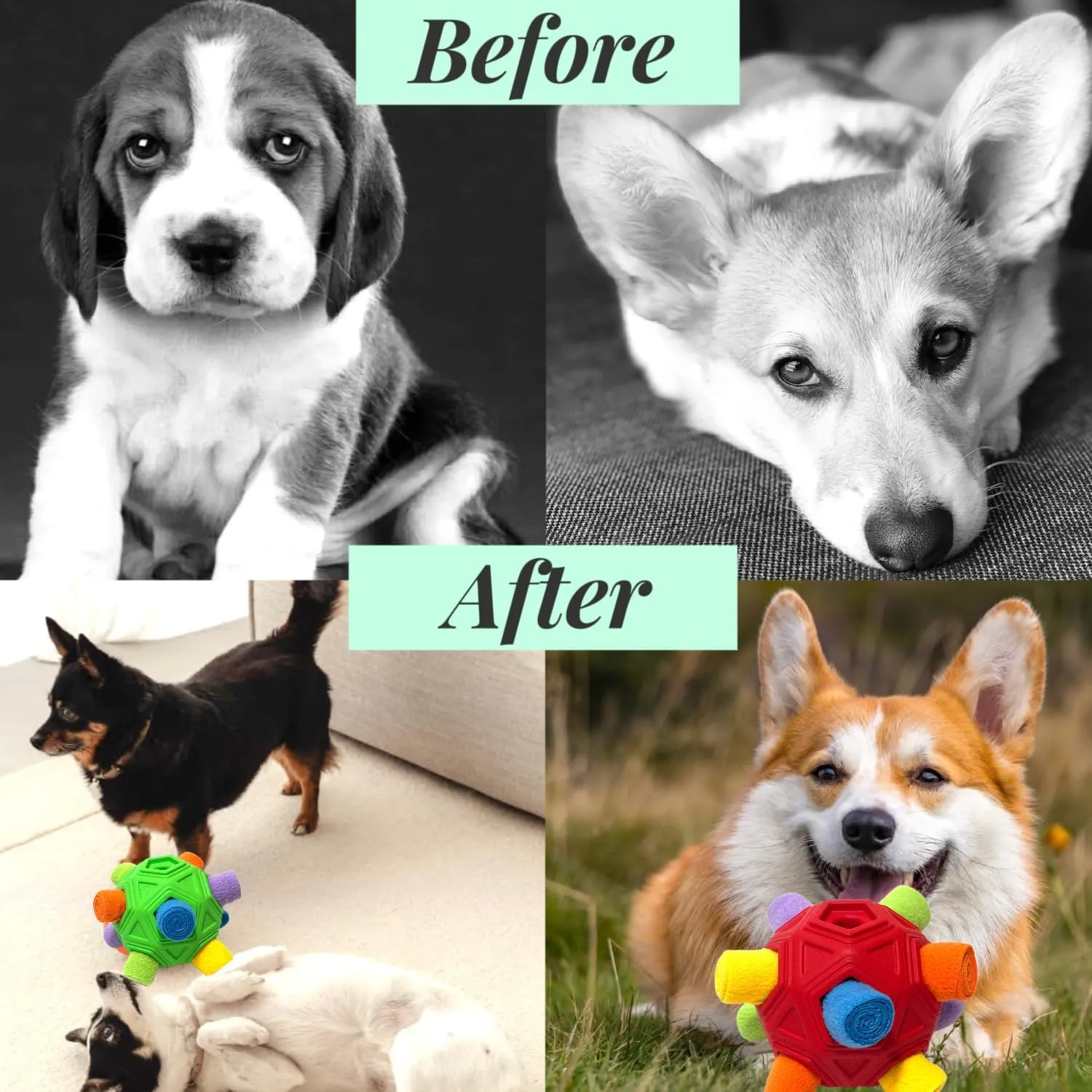 Snuffle Ball for Dog Toys Unbreakable Upgrade Ball Interactive Toy Foraging Snuffle Mat Puppy Treat Dispenser Slow Feeder Dog Puzzle Toys for Small, Medium, Large Pets (Red Rainbow)