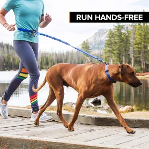 Stunt Runner Hands-Free Dog Leash, Black