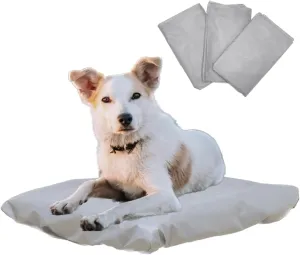 Tailbop Disposable Pet Bed Covers, Fits All Dog and Cat Beds or Mats, Waterproof, Odor and Dirt Resistant, 3 Pack (S-M)