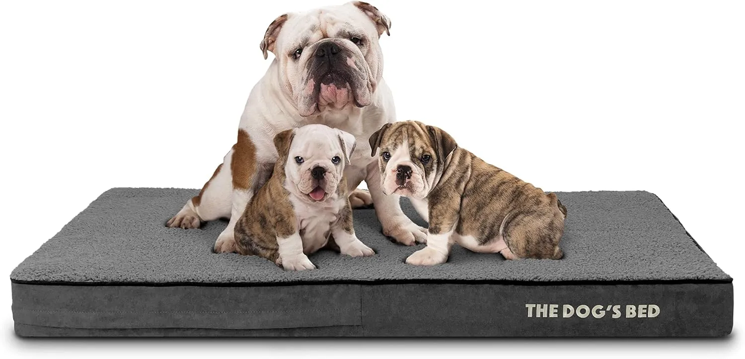 The Dogs Bed Orthopedic Memory Foam Dog Bed, XL Grey Plush 46x28x4, Pain Relief for Arthritis, Hip & Elbow Dysplasia, Post Surgery, Lameness, Supportive, Calming, Waterproof Washable Cover