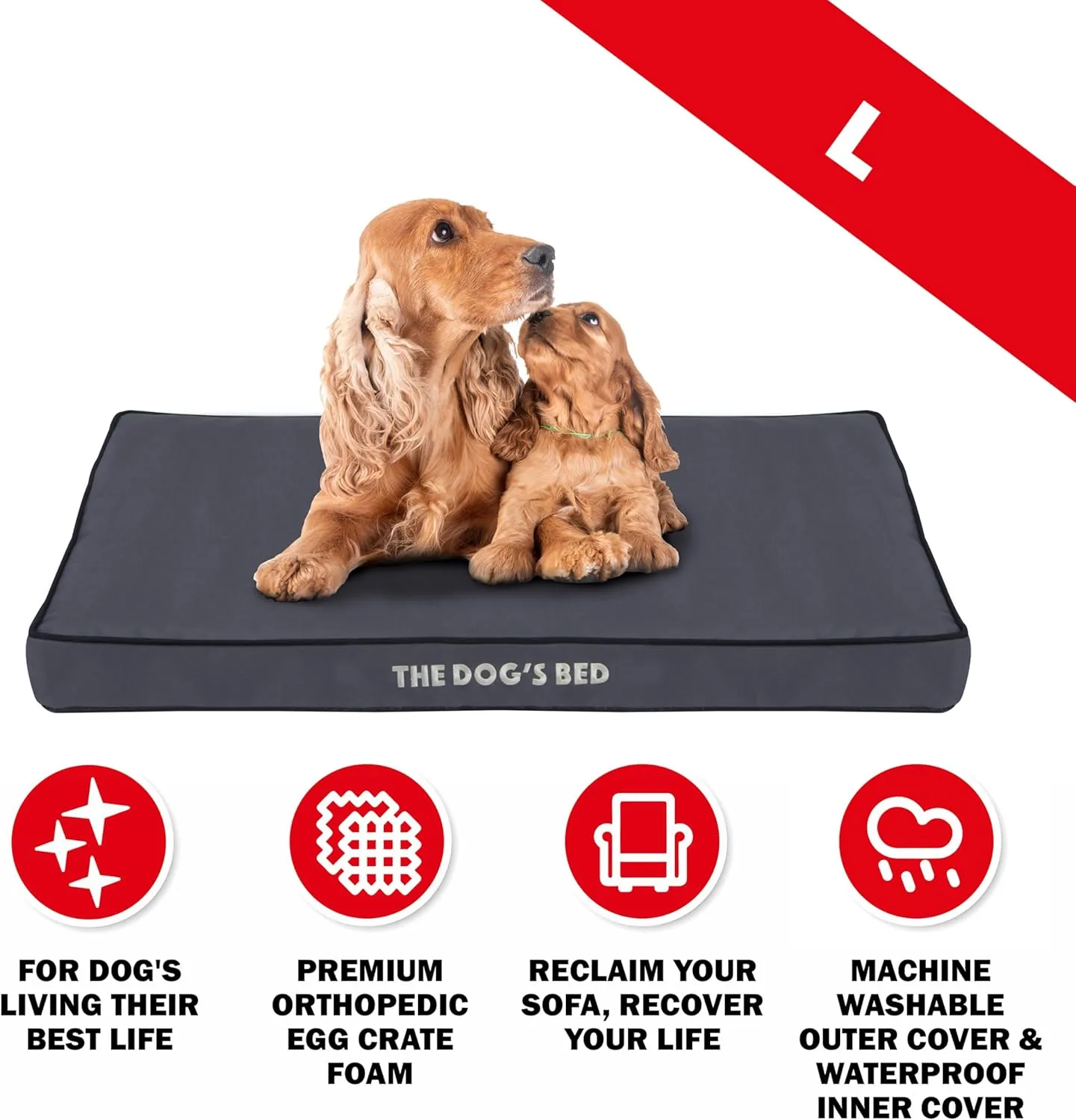 The Dogs Bed Orthopedic Standard Foam Dog Bed with Standard Support, Large Grey with Black Trim, Waterproof, Supportive Dog Bed with Replaceable Covers, Veterinary Approved