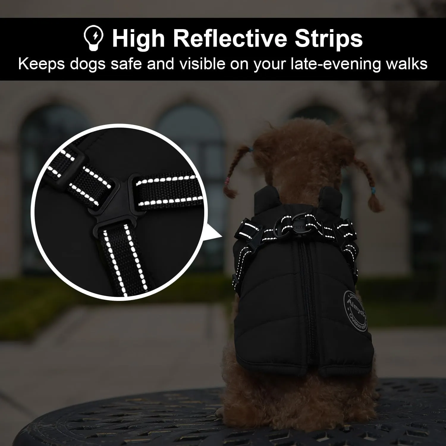 Warm Winter Coat, Fashion Sports Dog Cold Weather Jacket with Built-in Harness, Reflective & Adjustable Comfortable Pet Vest, Waterproof Windproof Apparel for Small Dogs (Black)